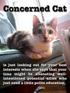Image description: A shocked-looking cat perches on a chair, staring straight at the camera. Text reads: Concerned cat is just looking out for your best interests when she says that your tone might be alienating well-intentioned potential allies who just need a little polite education.
